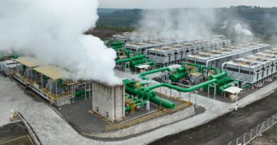 AfDB Approves $16.5m Loan for Kenya Geothermal Project
