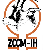 ZCCM-IH Establishes New Energy Investment Vehicle to Drive Renewable Power Rollout 