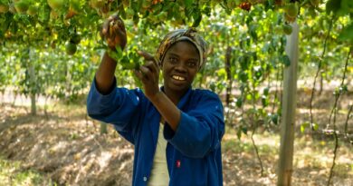 Trade Reforms Open New Markets for Zambian Farmers