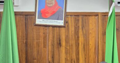 Zambia, Tanzania Agree on Monthly Fuel Vessel Offloading to Secure Diesel Supply