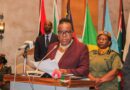 Zambia’s Vice President Demands Urgent End to Eastern DRC Conflict, Warns of Deepening Regional Crisis