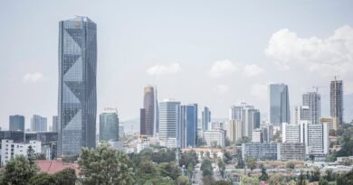 IMF Releases US$261m to Ethiopia After Reform Review