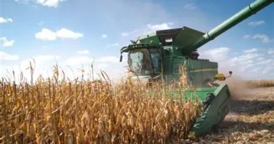 Gov’t Directs Banks in Kasama to Extend Working Hours to Clear Farmer Payments