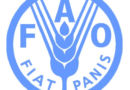 FAO Agricultural Voucher System Strengthens Food Security and Safeguards Communities in Zimbabwe