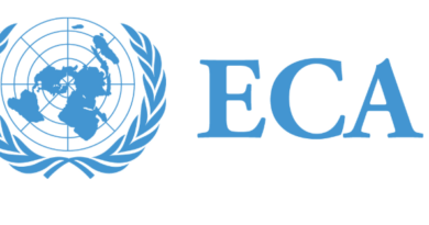 African Fashion Leaders Meet to Grow $31bn Industry