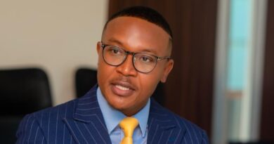 MTN MoMo Introduces Affordable Transfers to Europe, UK and Canada