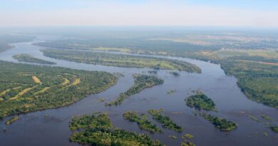 GEF Approves US$9.45m for Zambezi Water Governance