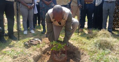 Zambia Launches National Tree Planting Season in Monze