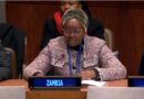 Zambia Pledges Stronger Action on Inclusive Social Development and Justice at UN