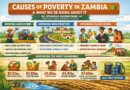 Low Productivity, Poor Infrastructure and Limited Finance Among Key Drivers of Poverty in Zambia – Finance Minister