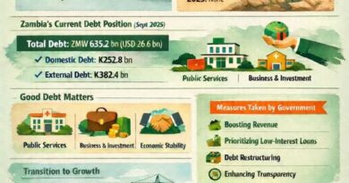 Zambia Charts Prudent Path on Public Debt, Government Affirms