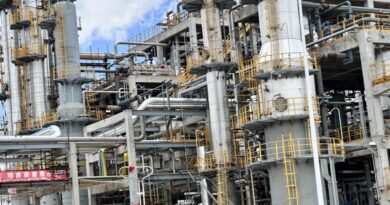 Kenya Seeks Stronger Fertilizer and Agricultural Trade Partnership with Zambia