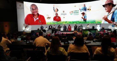 Zambia Promotes Farm Blocks and Land Reform to Boost Food Security and Rural Wealth