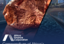 Africa Urged to Rethink US$29.5 Trillion Mineral Wealth for Industrial Growth