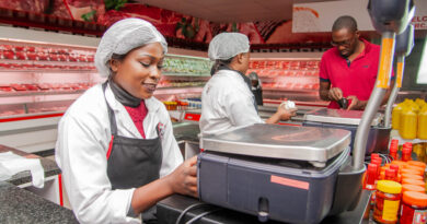 BII Welcomes Zambeef Board’s Call for Shareholder Approval of Preference Share Conversion 