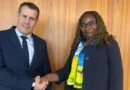 AfDB Urges Private Sector Partnership in Humanitarian Crises at Geneva Forum