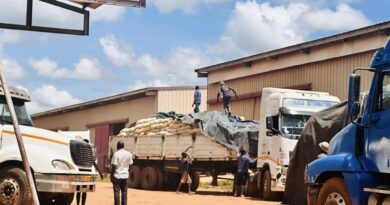 Zambia to Export 150 Trucks of Maize to Malawi Daily
