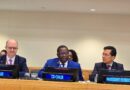 Zambia and Austria Urge Global Action on Science, Technology and Innovation to Achieve SDGs