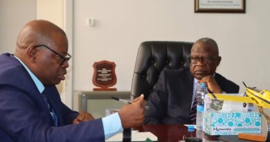 Mining Firms Ordered to Submit Local Content Reports by 15 April 