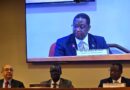 Dr Milambo Calls for Stronger African Engagement in UNDP, UNFPA and UNOPS Executive Boards