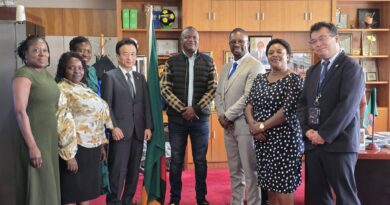 Zambia Engages Japan, Algeria and Türkiye to Drive Youth and Creative Sector Growth