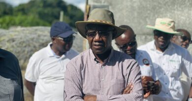 Kangwa Commends Private Sector Role in Driving Zambia’s Agricultural Transformation