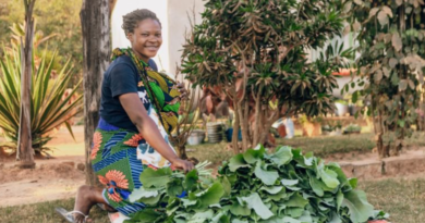 Farmers in Zambia See Higher Yields Under New E-Voucher Subsidy System