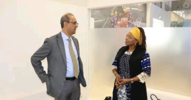 Zambia Targets New Airline Partnerships to Increase Tourist Arrivals