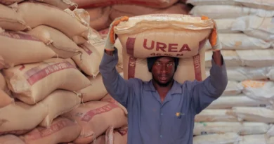 African Governments Need to Take Urgent Action on Fertiliser Shortages