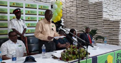 Zambia to Export Mealie Meal to DRC from 600,000 Tonnes of Maize