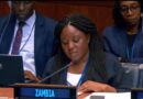Zambia Reports Strong Progress in Family Planning and Maternal Health at UN