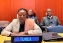 Zambia Calls for Urgent Global Action on SDG Financing at UN Forum