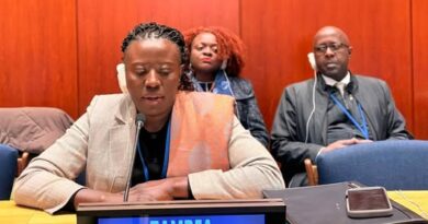 Zambia Calls for Urgent Global Action on SDG Financing at UN Forum