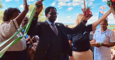 Sweden-Funded Health Facilities Bring Better Care to Mothers in Southern Province