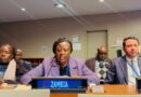 Zambia Calls for Value Addition in Critical Minerals at UN Financing for Development Forum
