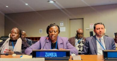 Zambia Calls for Value Addition in Critical Minerals at UN Financing for Development Forum