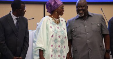 Hichilema Calls for Property Rate Reforms to Drive Fair Local Revenue and Growth