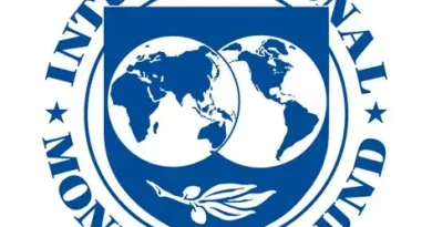 IMF Outlook Highlights Economic Performances