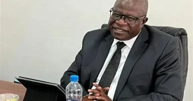 Gov’t To Build New Gold Centres to Legalise Mining