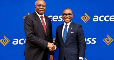 Dr Nwogu Calls for Stronger PPPs to Sustain Zambia’s Economic Growth