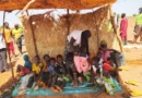 How community shelters protect children and help women restore degraded lands in Niger