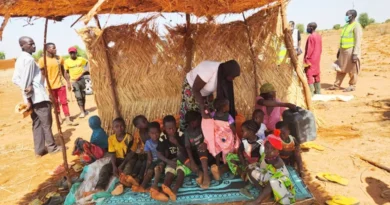 How community shelters protect children and help women restore degraded lands in Niger