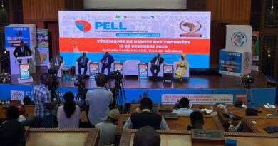 Pan-African Local Leadership Awards Open for Applications