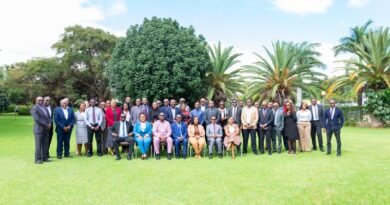 New Energy Reforms Aim to Improve Electricity Supply and Attract Investment