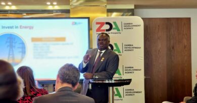 Zambia Courts German Investors with Focus on Mining, Energy and Agriculture