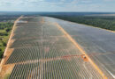 CEC Commissions Africa’s 3rd Largest Solar Plant: A $125.8m Shift Toward Zambia’s Energy Independence